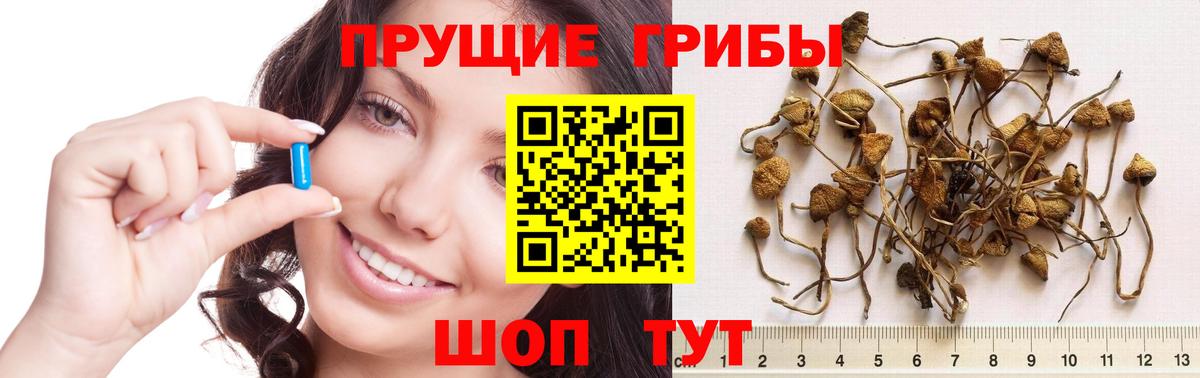 Корсаков  Галлюциногенные грибы ЛСД  магазин продажи наркотиков  Вход с VPN 